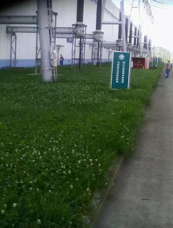 電力設備防腐涂料工程