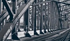 䓽Y(ji��)��(g��u)���ķN������^�ã�