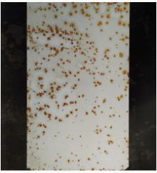 Ϳ���÷��W�P������Щ�N�(l��i)����οƌW(xu��)ʹ�ã� Ϳ���ھ�(xi��n),coatingol.com