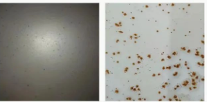 Ϳ���÷��W�P������Щ�N�(l��i)����οƌW(xu��)ʹ���� Ϳ���ھ�(xi��n),coatingol.com